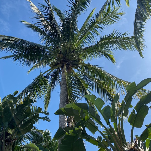 Meet your Posher, Pam - Picture 1 of 1